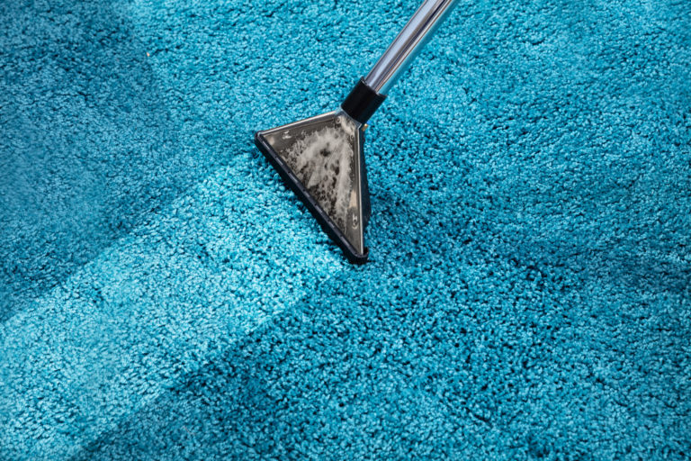 Why is it important to get your carpets cleaned professionally?​