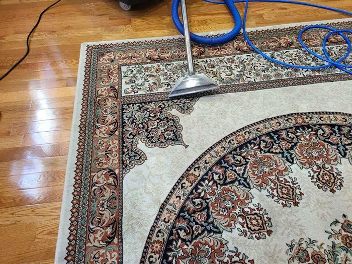 Rug Cleaning