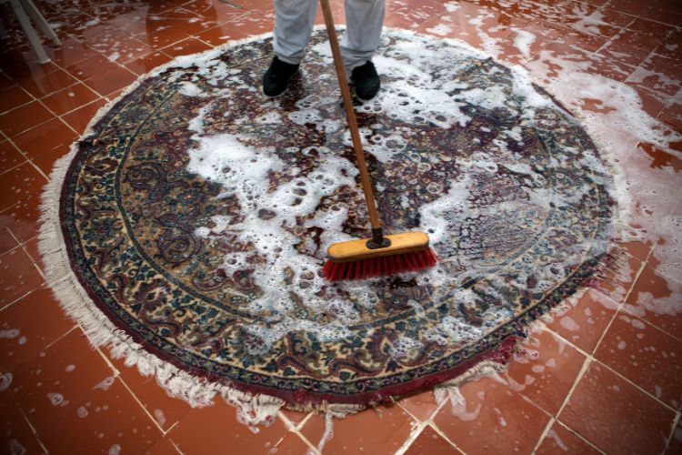 Cleaning Carpets